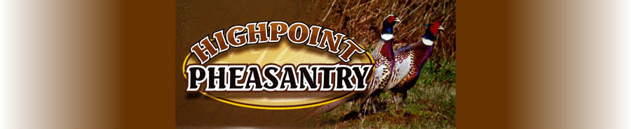 Highpoint Header